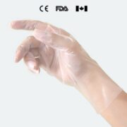 Labteamet_TPE-Glove-Transparent