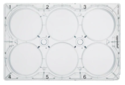 Eppendorf - CCCadvanced® FN1 patterns Cell Culture Plates