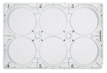Eppendorf - CCCadvanced® FN1 patterns Cell Culture Plates